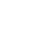 Automotive & EV 