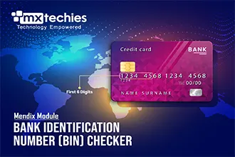 Bank Identification Number (BIN) Checker